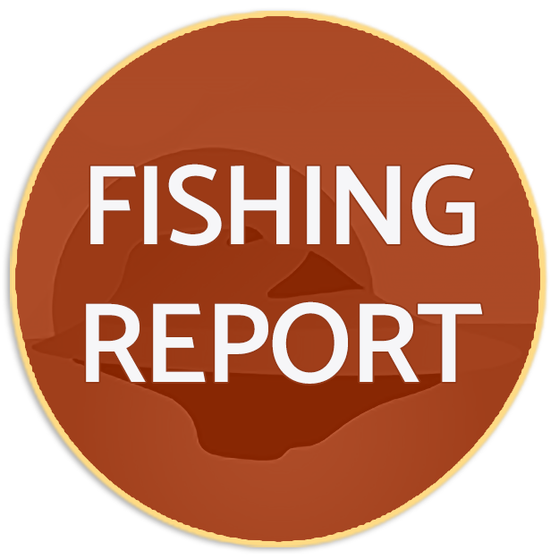 fishing report button